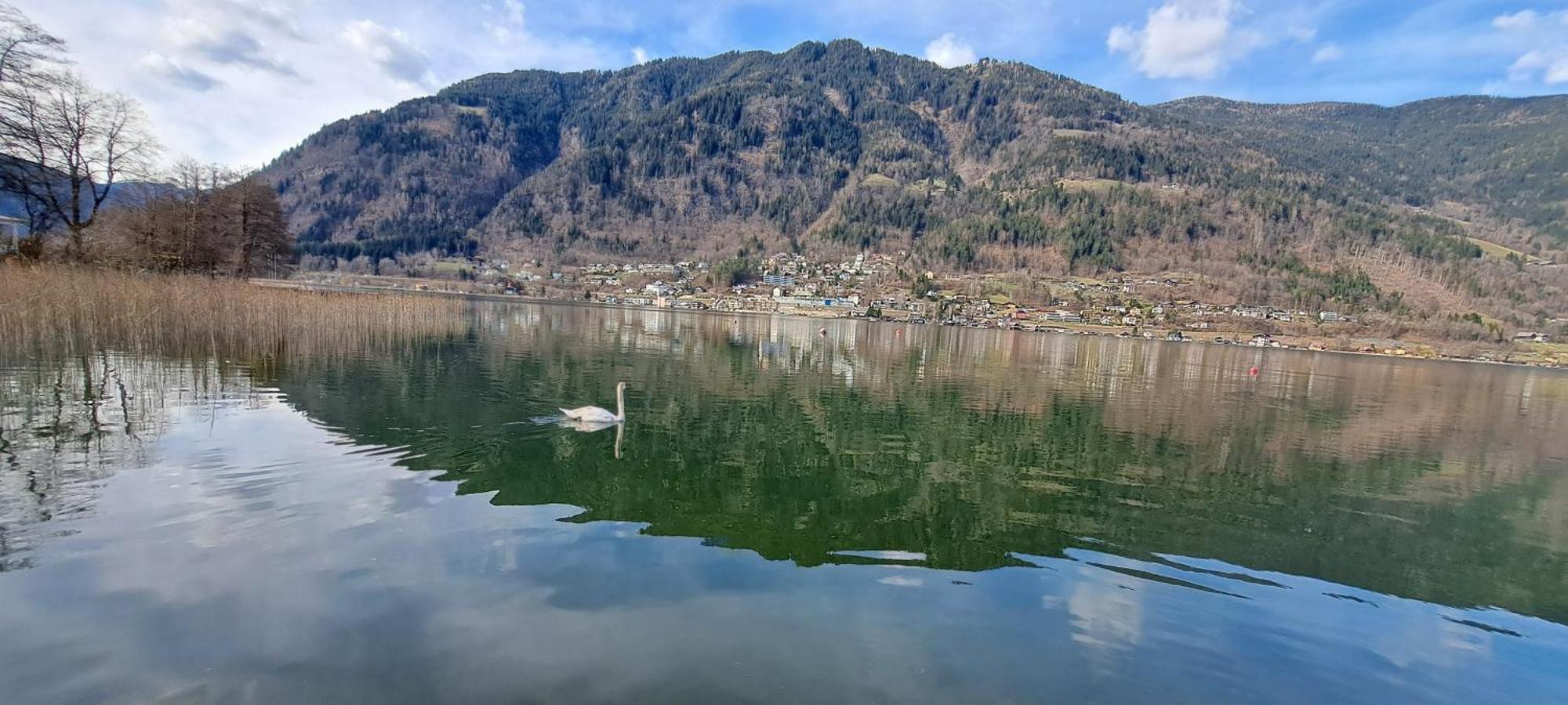 Direkter Seezugang Am Ossiacher See, Radfahren, Wandern & Erlebniscard Villach Buitenkant foto