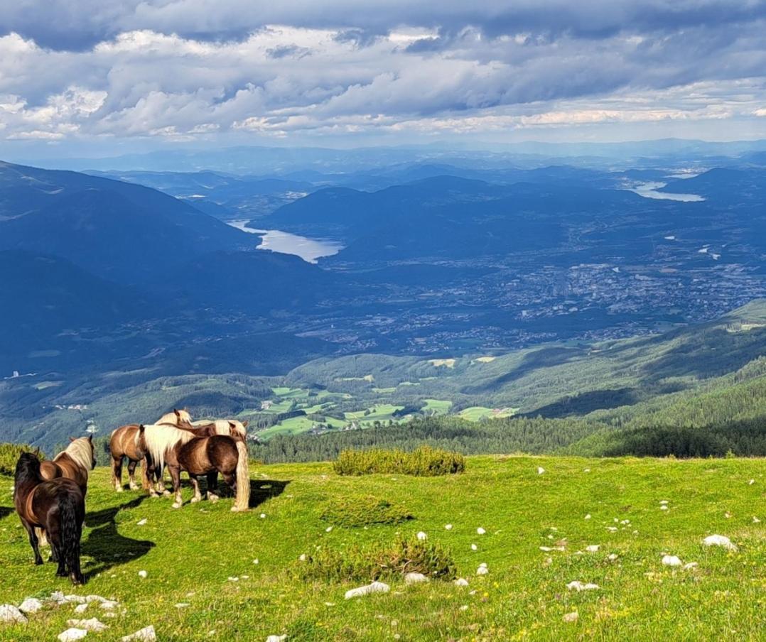 Direkter Seezugang Am Ossiacher See, Radfahren, Wandern & Erlebniscard Villach Buitenkant foto